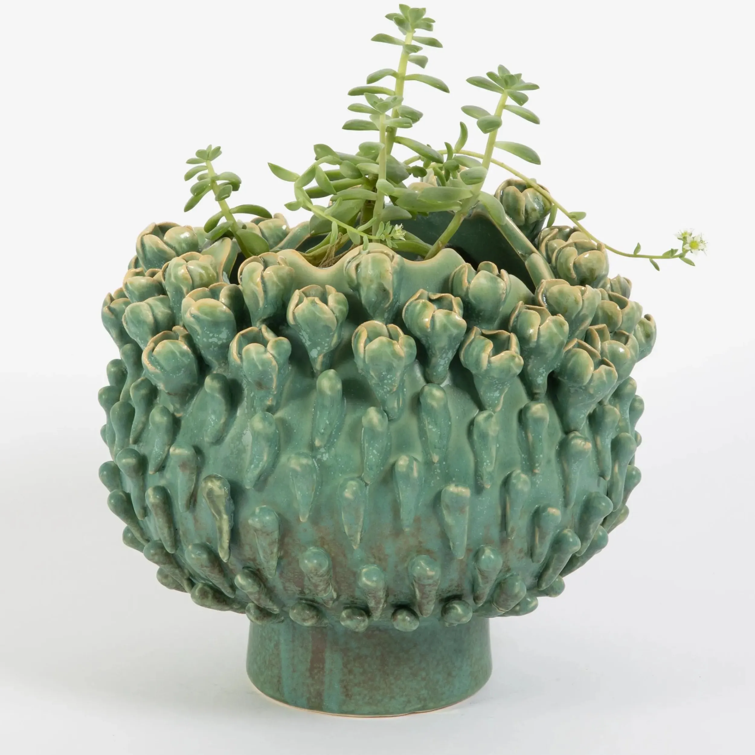 Garden Harvest Ceramic Vase | GigiandTom Flash Sale