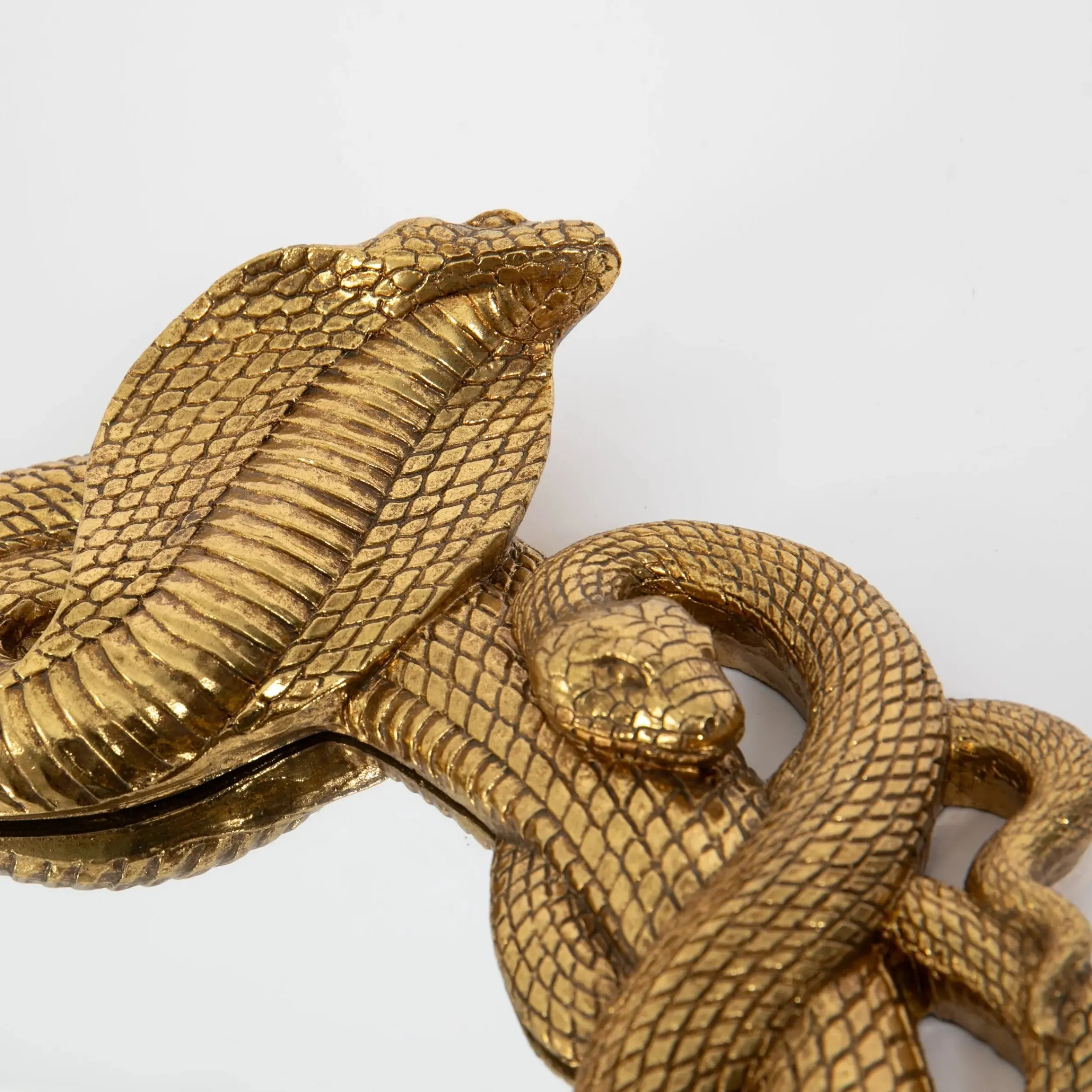 Medusa Oval Resin Wall Mirror | GigiandTom Fashion